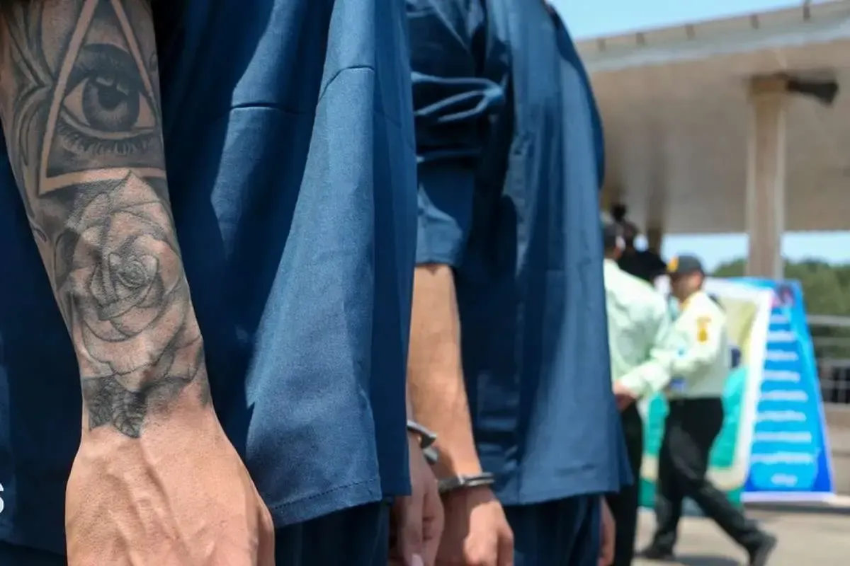 ماینر