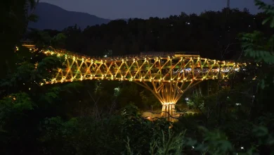 سالمندان