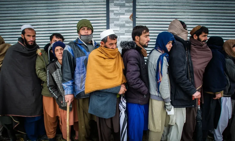 نیروی کار