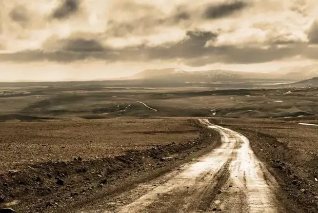 تویوتا