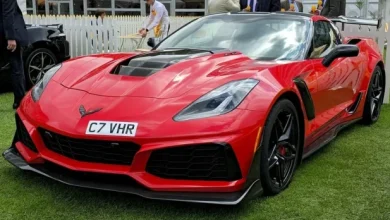 بارش برف در هند(+فیلم) 7 2 22