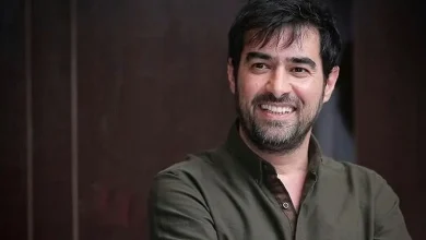 شهاب حسینی