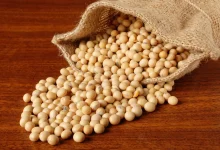 بیماران زن