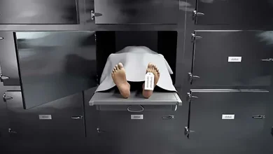 تفاوت کاناپه و مبل راحتی