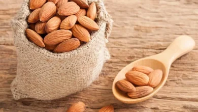 فیکوس برگ ویولونی