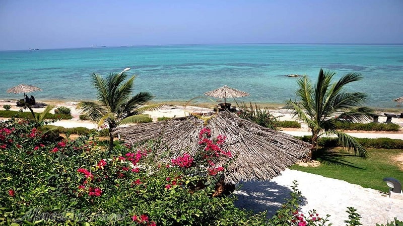 کیش