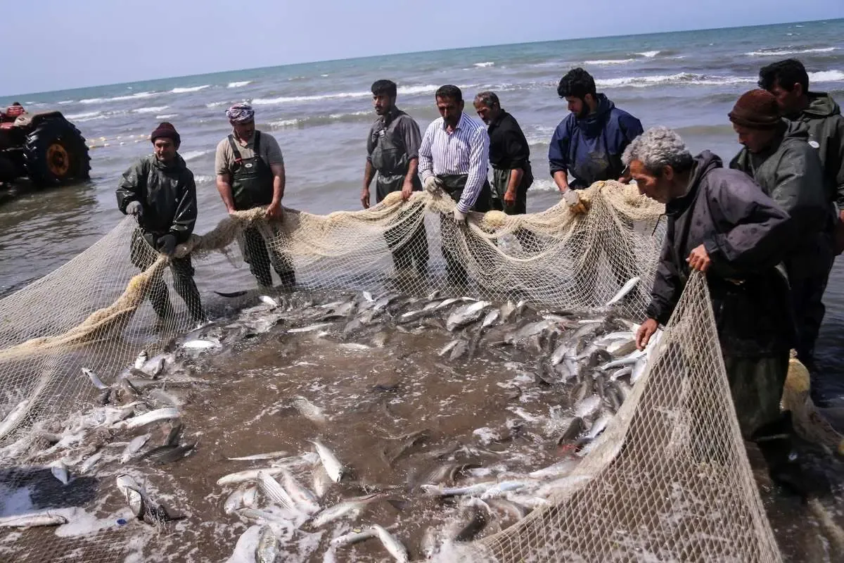 کاخ موزه