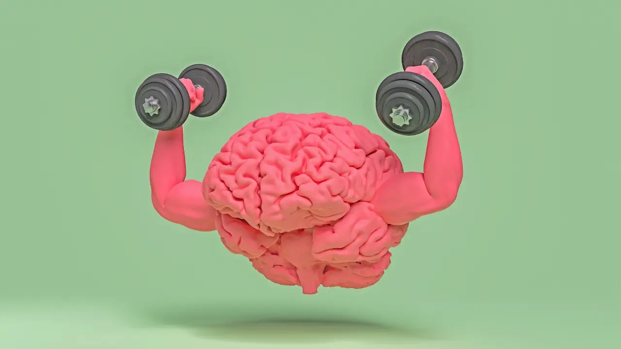 مغز