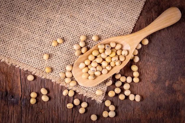 پروتئین گیاهی