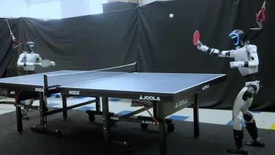 ربات