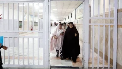 زاموفیلیا