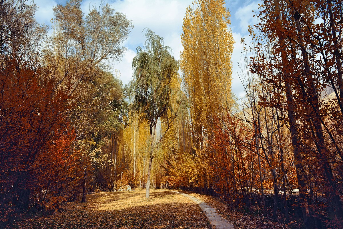 روستای مورکان