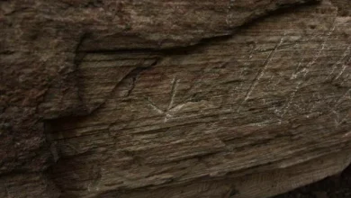 راز نقشههای ستارگان پاراگوئه و خالقان واقعی آن فاش شد! 24 6 87