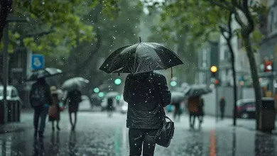 هواشناسی