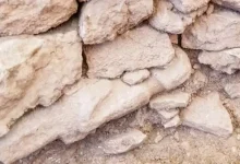 موزه