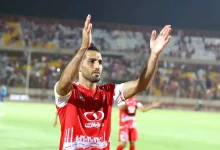 وحید امیری