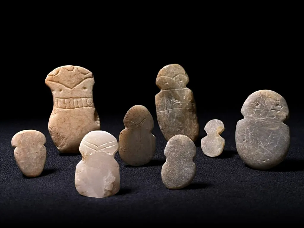 گلاره عباسی