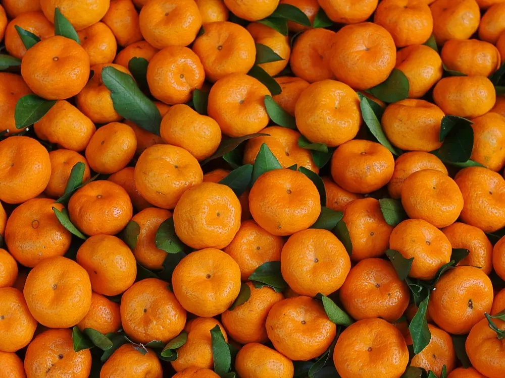 نارنگی