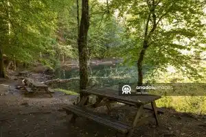 یئدی‌گؤلر