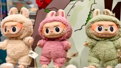سرقت