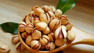 پروتئین وی