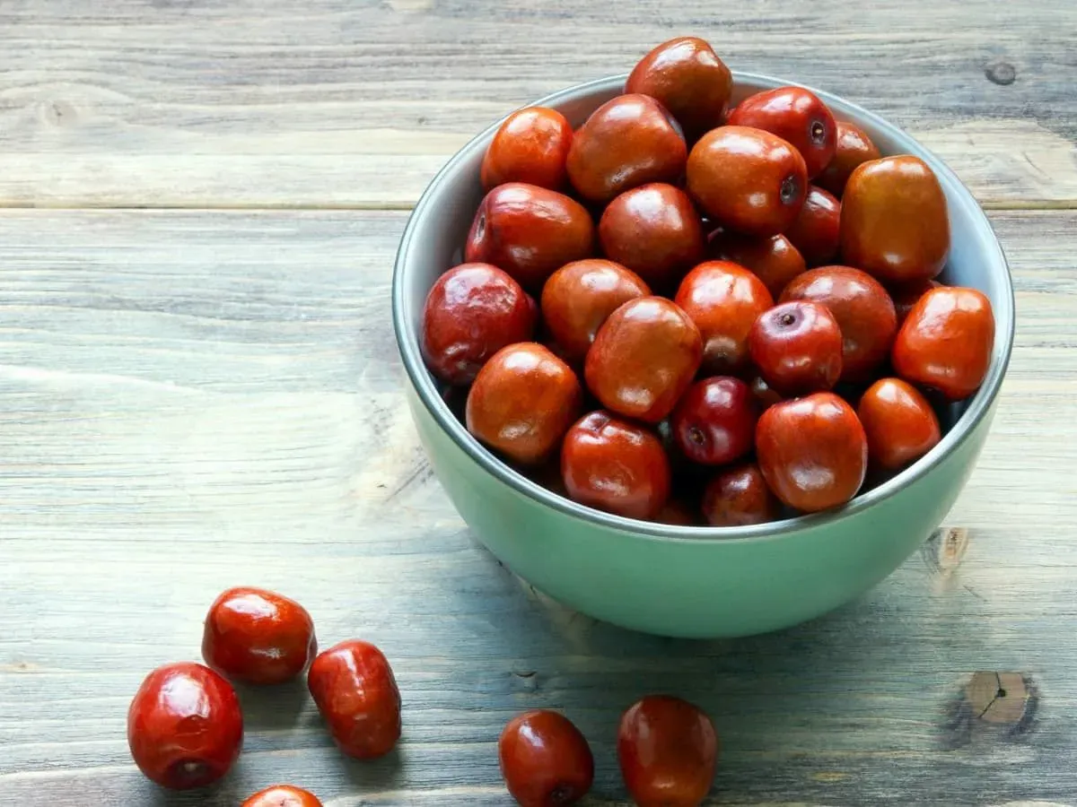 بررسی نقش عناب در پیشگیری و مبارزه با سرطان1