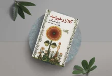 رمان‌
