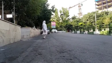 طارمی