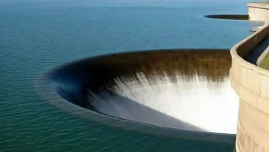 خیساندن انجیر