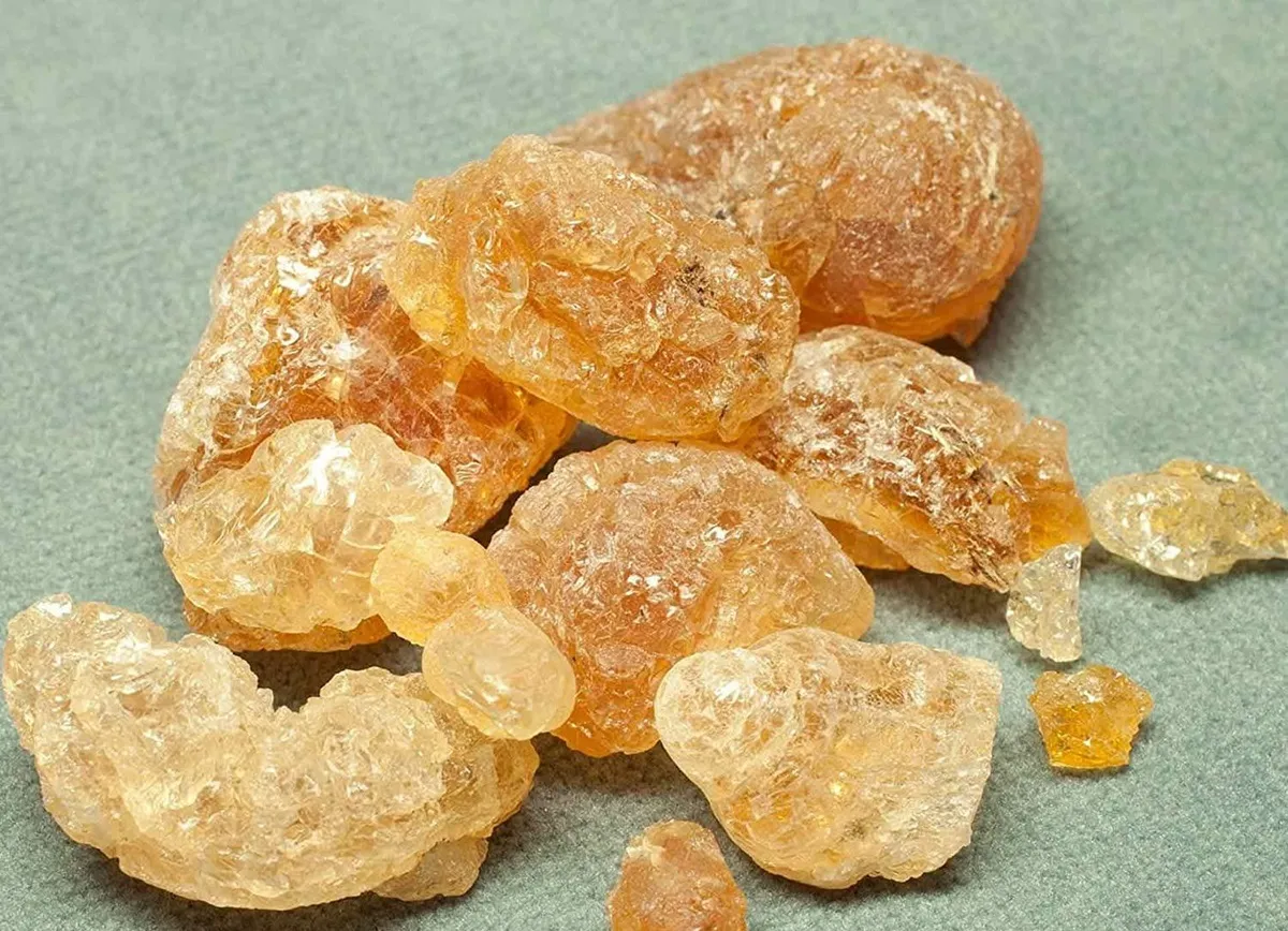دیکتاتورها