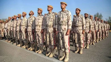 شبکه افق