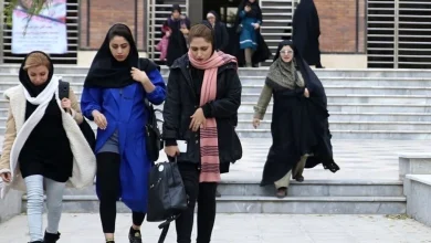 گواهینامه رانندگی دو زبانه