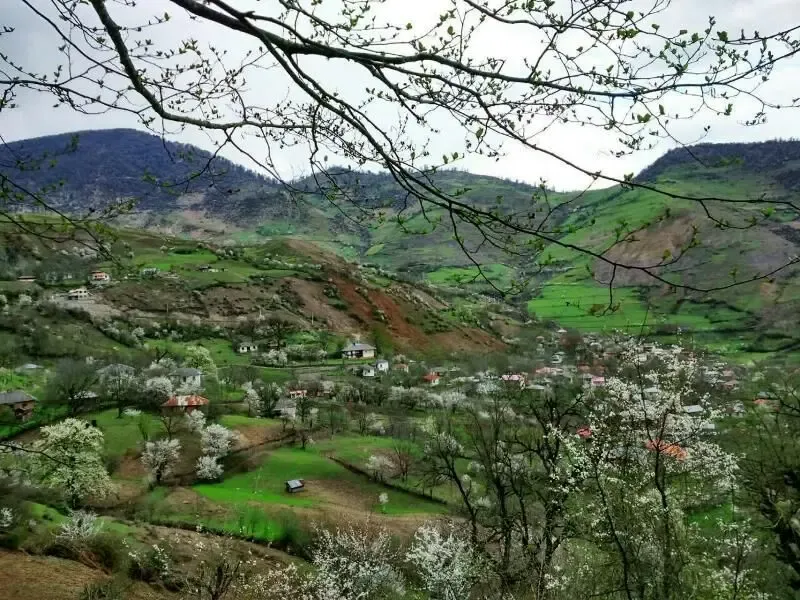 روستای ارده