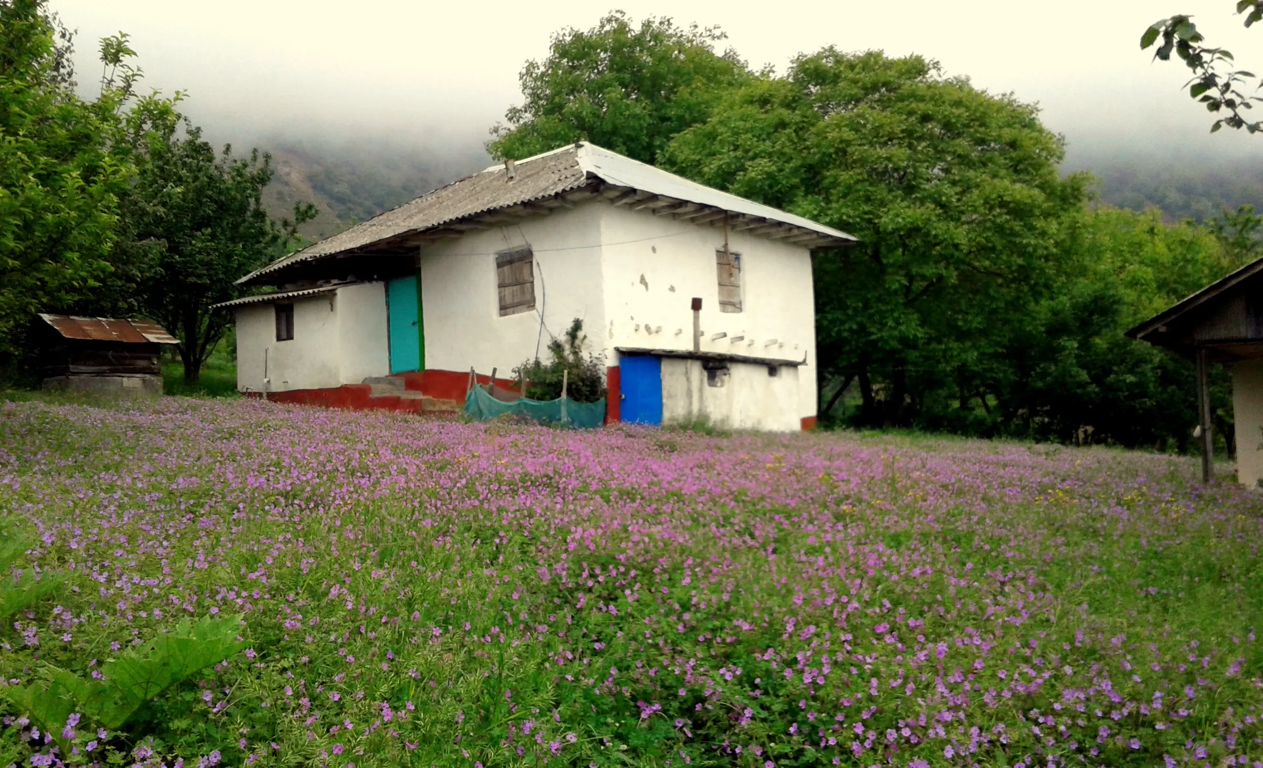 روستای ارده