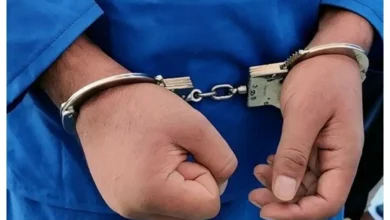 فیش حقوقی