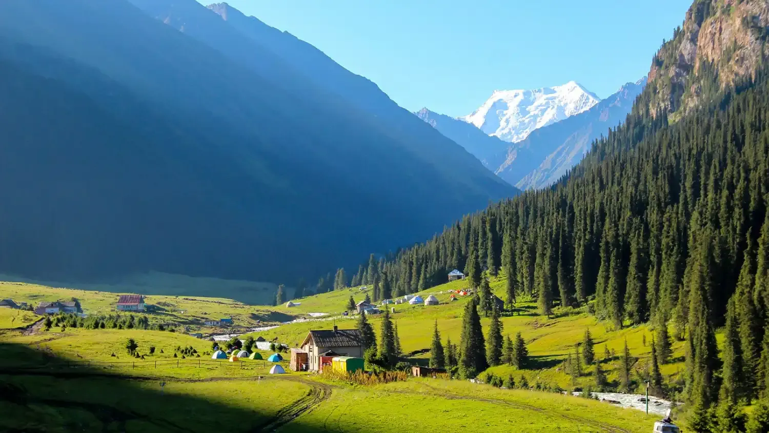 سوئیس آسیا