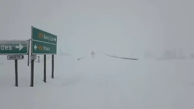 ترکیه