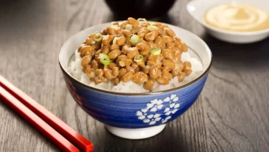 طرز تهیه ناتو