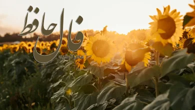 فال حافظ 12 شهریور 1404