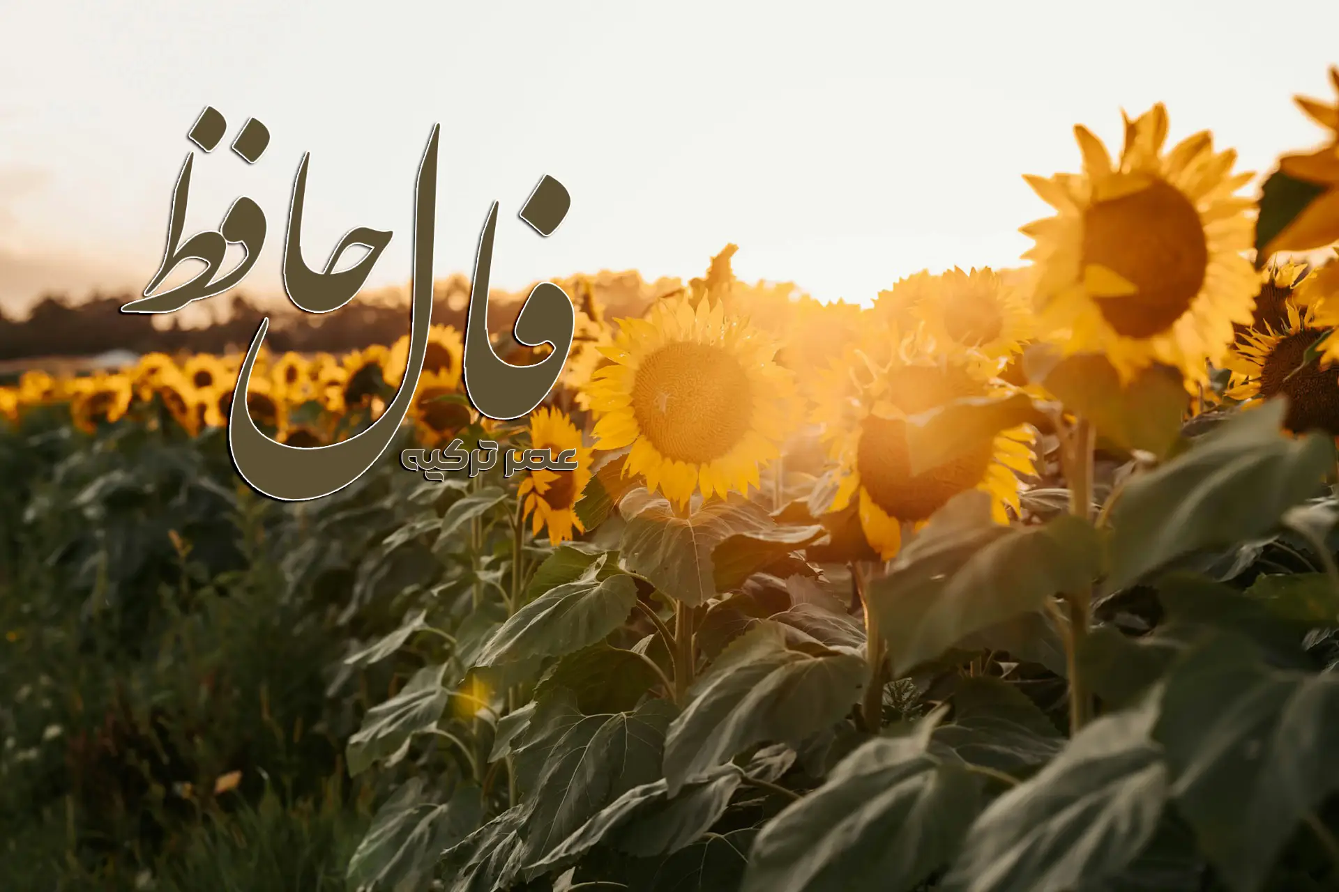 فال حافظ 12 شهریور 1404