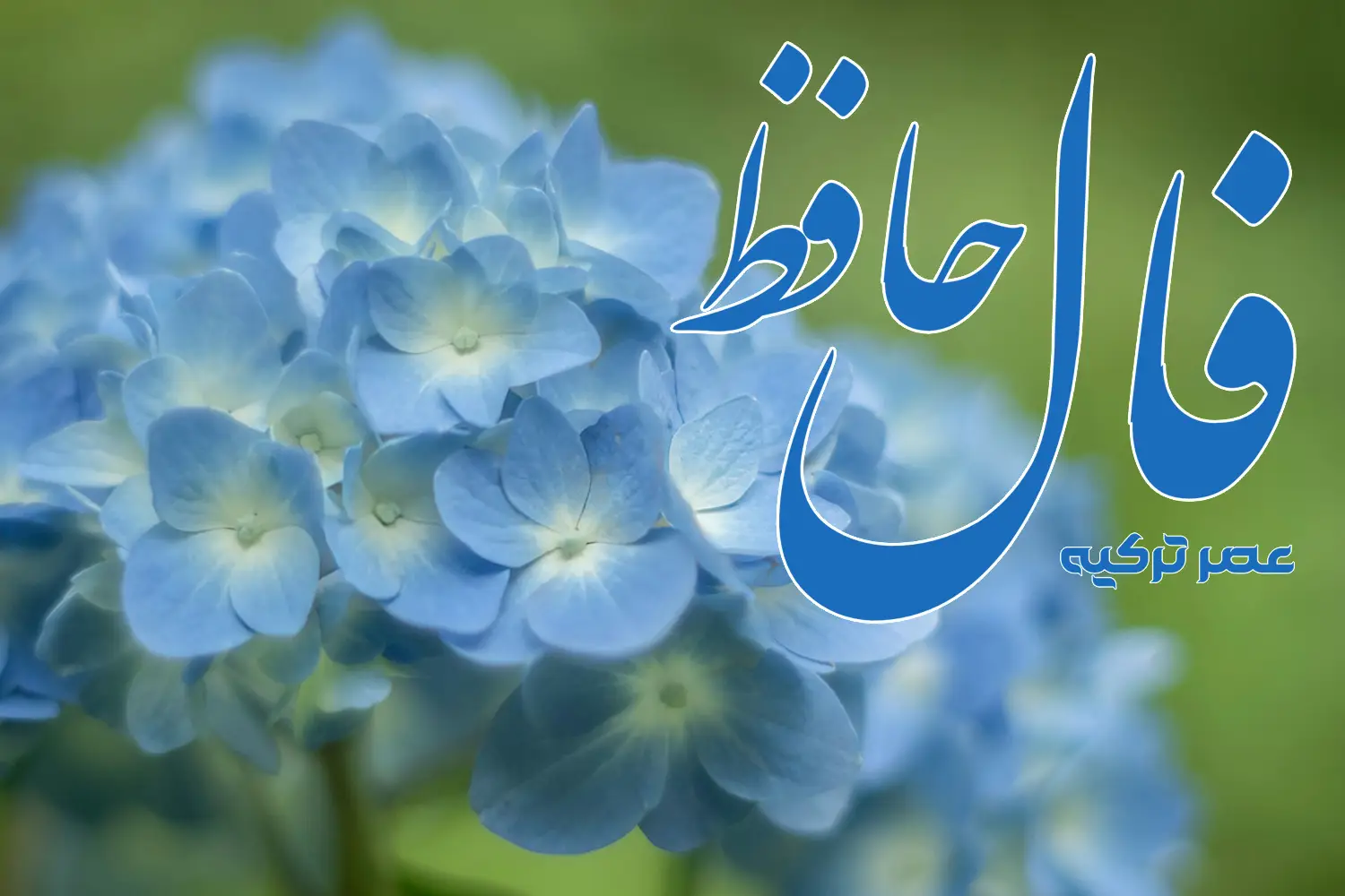 فال حافظ 14 شهریور 1404