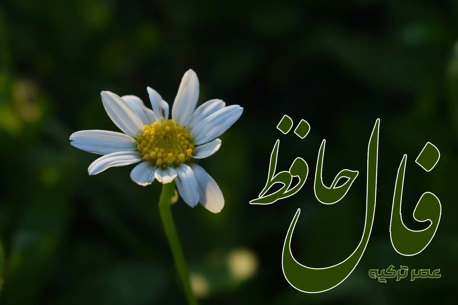 فال حافظ 16 شهریور 1404