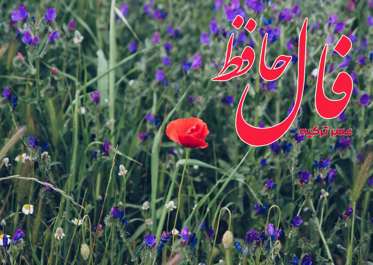 فال حافظ 19 شهریور 1404