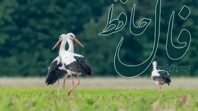 فال حافظ 21 شهریور 1404