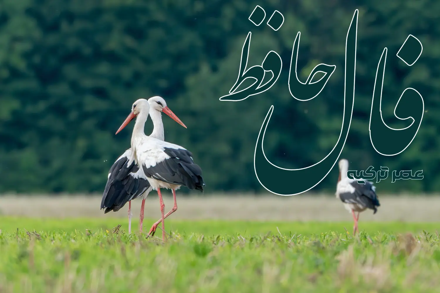 فال حافظ 21 شهریور 1404