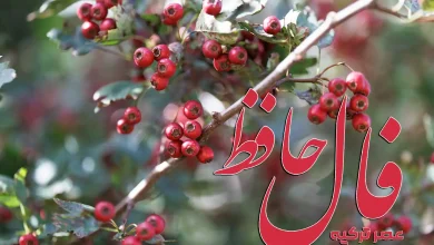 فال حافظ 8 مهر 1404