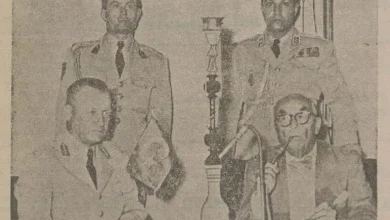سیواس