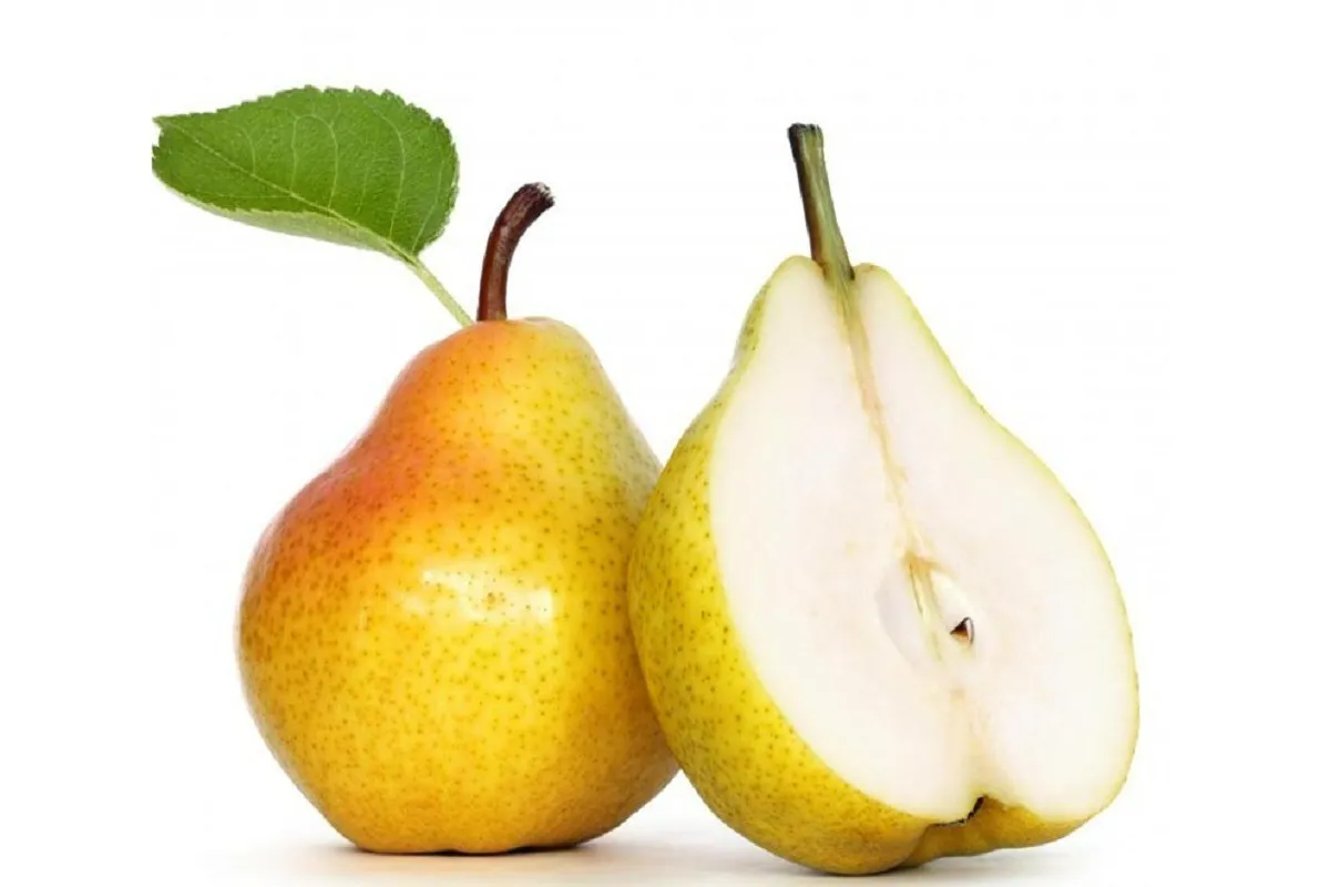 میوه