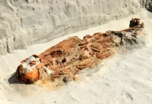 کشف اسکلت