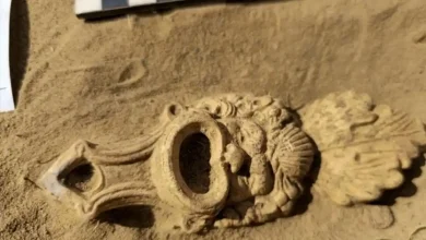 چشمان سیاه